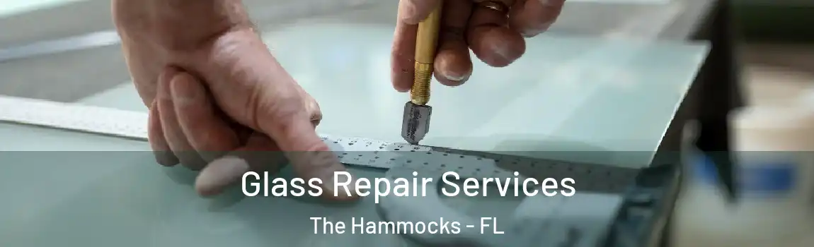  Glass Repair Services The Hammocks - FL