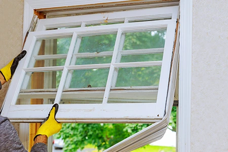 Window Replacement in The Hammocks, FL